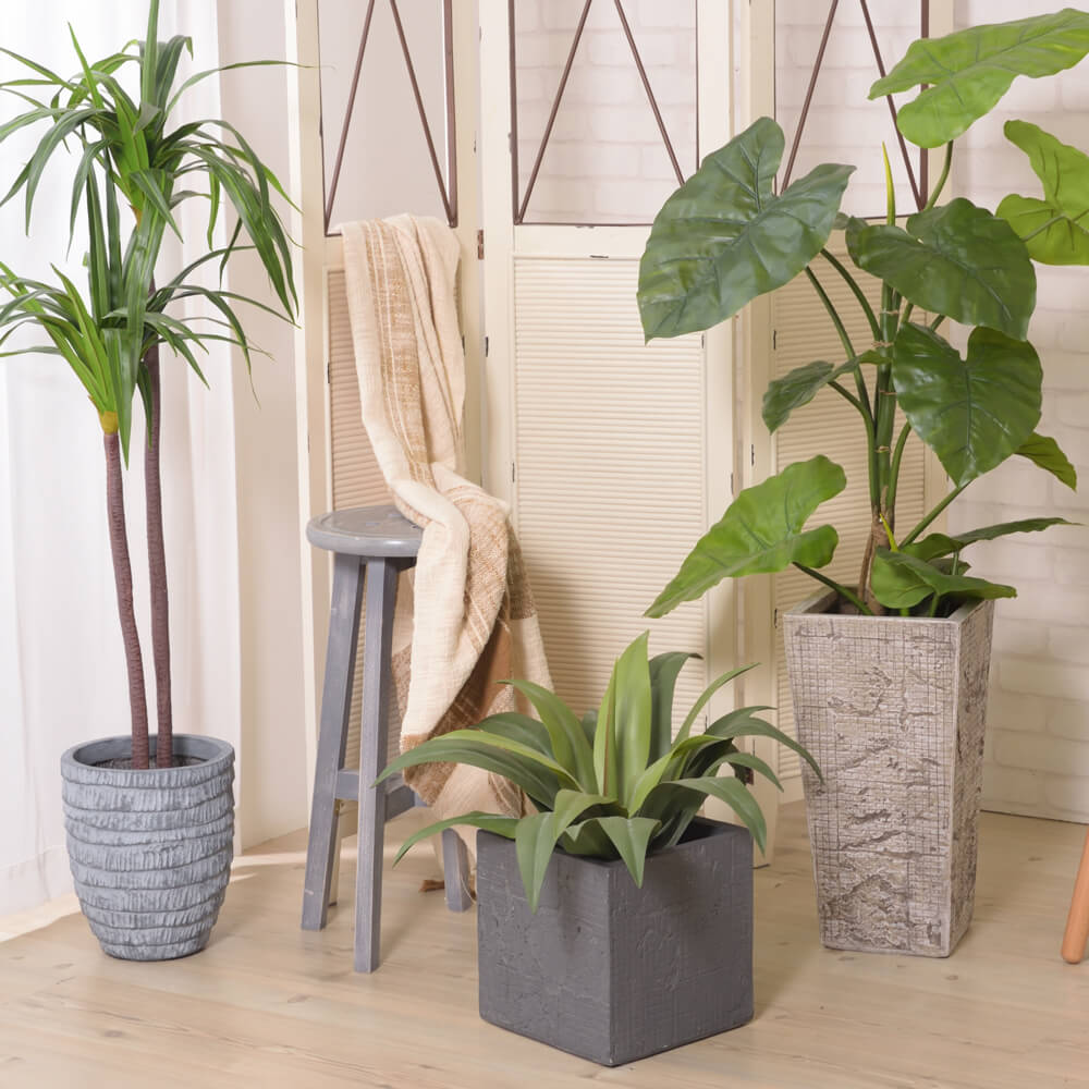 Beud （ベウド）　グリーンベース 5号