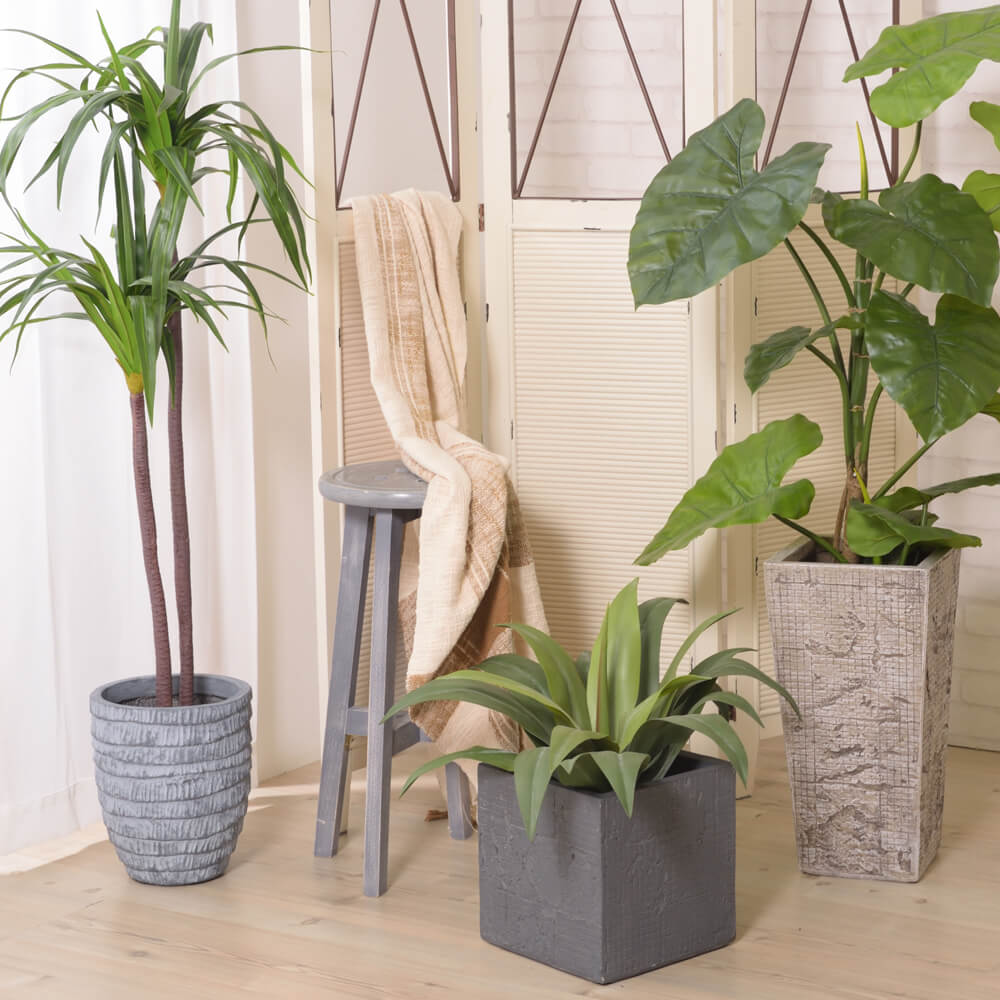 Quus（クース） グリーンベース 6号