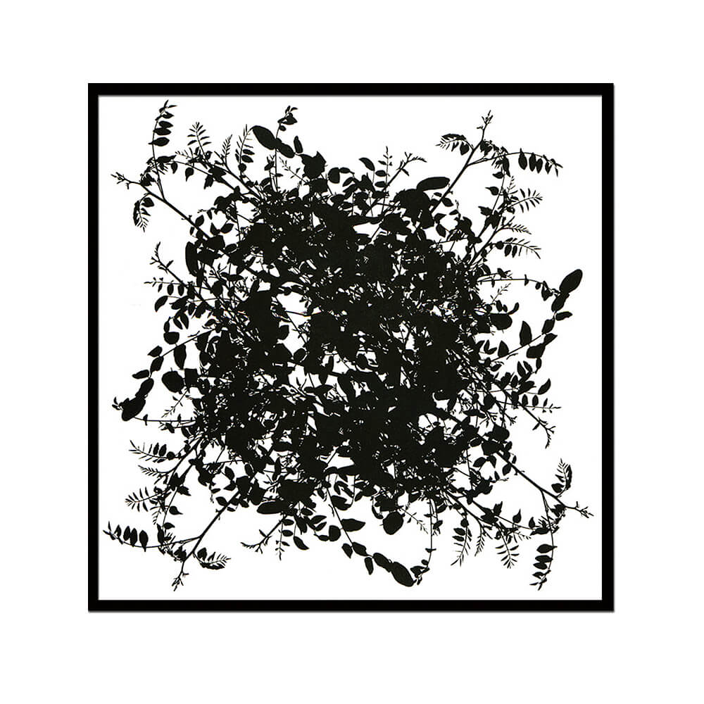 Nicolas Le Beuan Benic