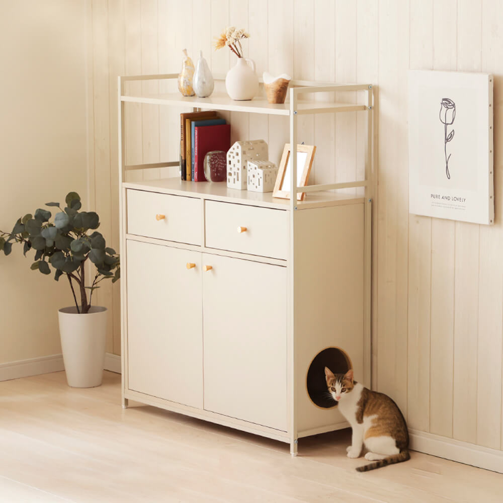 キャットウォーク