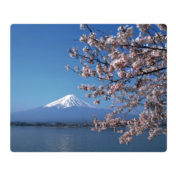 【日本のおみやげ】◆マウスパッド【富士山（春）】