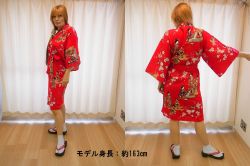 【日本のおみやげ】◆外国人向けハッピローブ【立姿ボーダー】女性用（フリーサイズ）