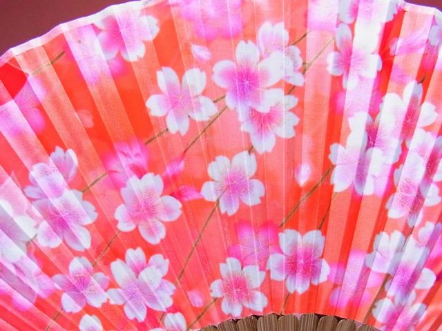 日本のおみやげ】◇絹扇子【桜】（オレンジ）「掛扇別売り」