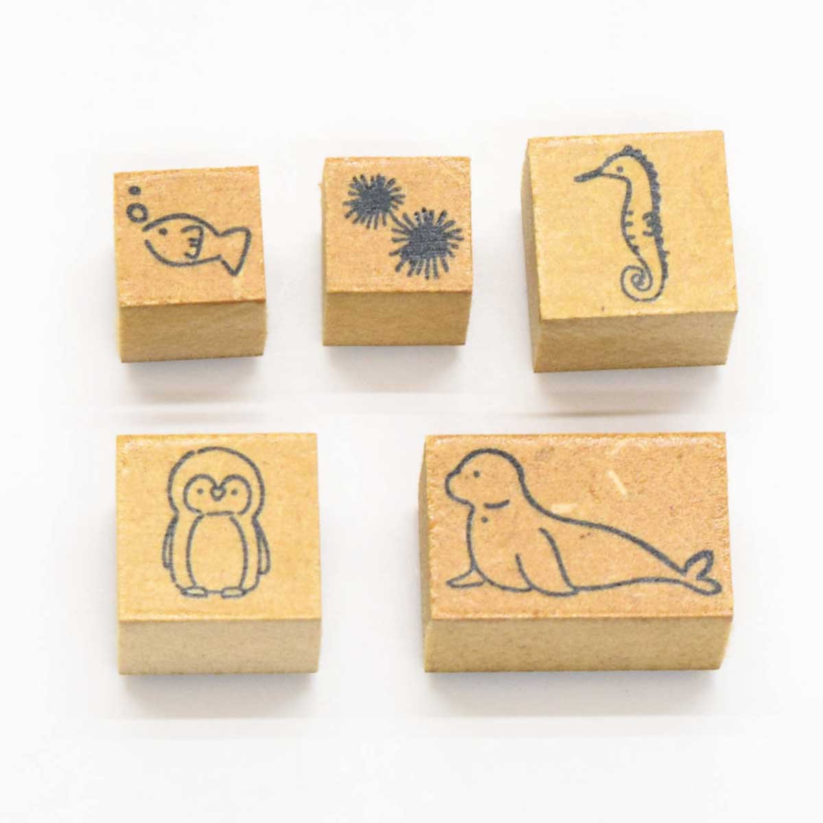 アクアリウム-B