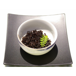 木の芽煮 140g自宅用お買い得袋　 「京くらま林」