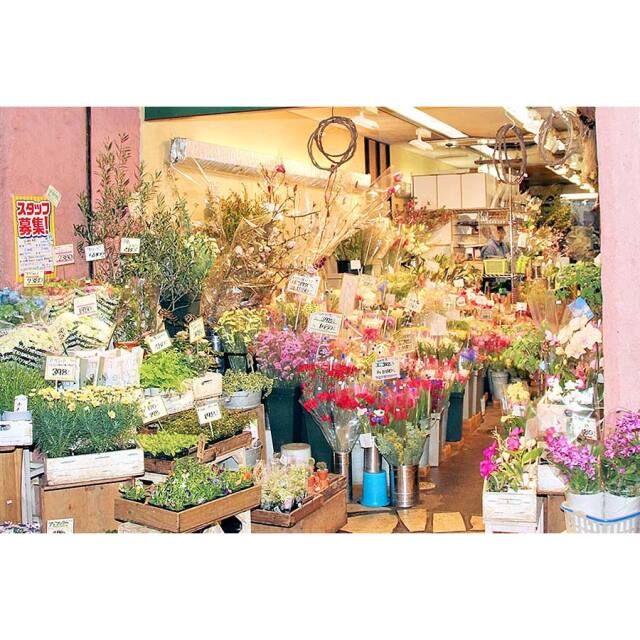 特別な日には豪華で気品ある花束を。エレガントリリーブーケ