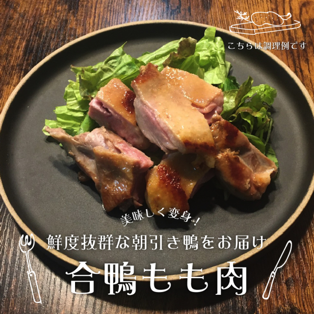 鳥豊_もも肉