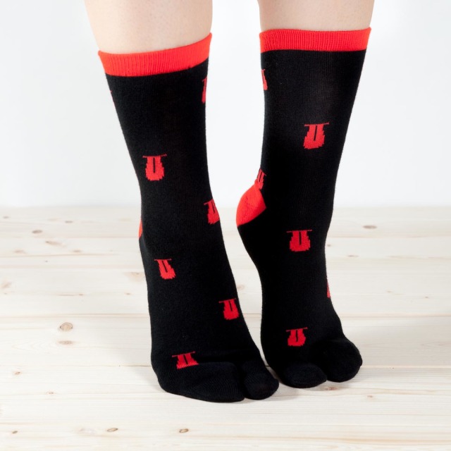 https://image1.shopserve.jp/kyototo.jp/pic-labo/llimg/KY18-426-01.jpg?t=20260906194429