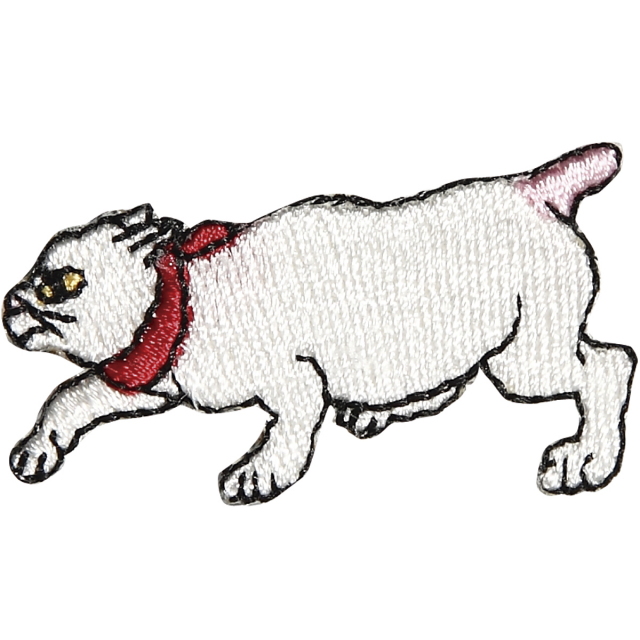 KYWS-223／ワッペン／藤枝／【ゆうパケット可】