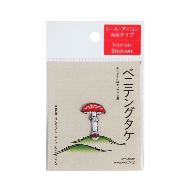 きのこ おー❗️ ベニテングタケ、11月に入ってもいました🍄 かわえぇ