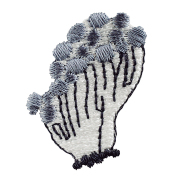 KYW-304／ワッペン／いぼしめじ／【ゆうパケット可】