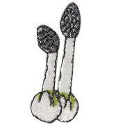 KYW-325／ワッペン／すっぽんたけ／【ゆうパケット可】