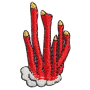 KYW-338／ワッペン／かえんたけ／【ゆうパケット可】