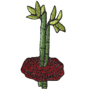 KYW-344／ワッペン／まんねんたけ／【ゆうパケット可】