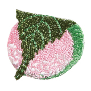 KYWS-358／ワッペン／桜餅