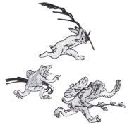 KYWS-675／ワッペン／追われる猿