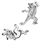 KYWS-680A／ワッペン／蛙と兎の相撲