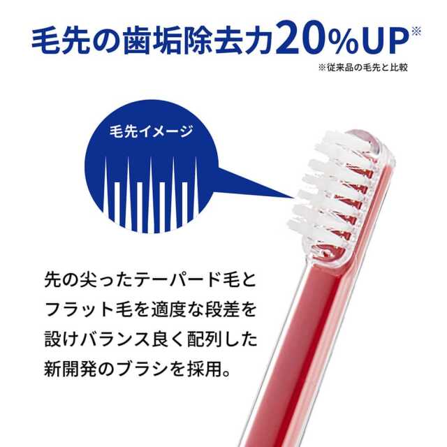 reclean24/7 リクリーン24/7 reclean 24/7専用替えブラシ(超先細毛)2本入 | イトーオンライン