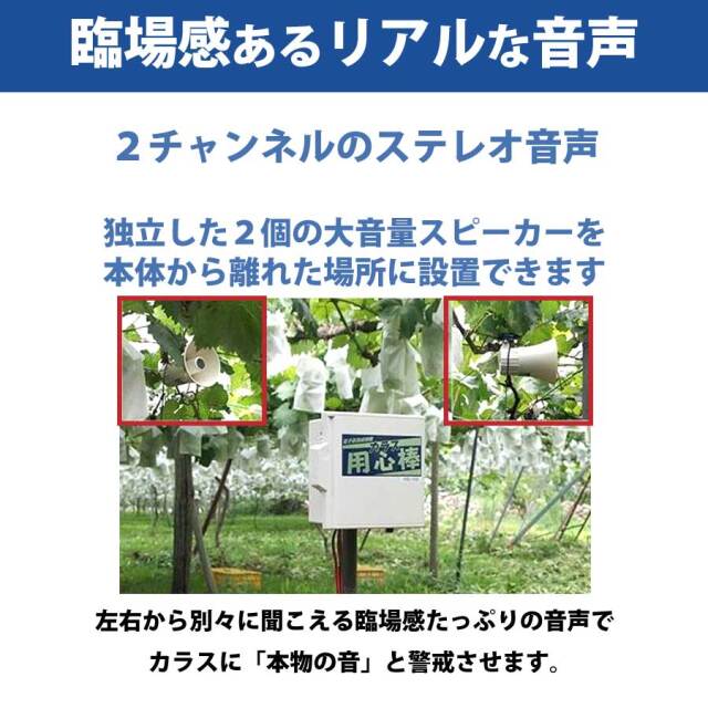 カラス用心棒2　KRS-200