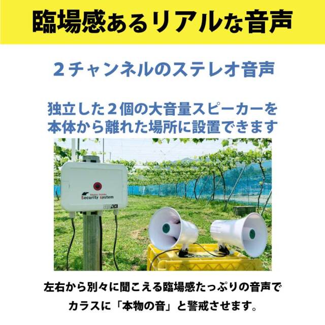 送料無料】カラスとドロボーを撃退｜カラス用心棒SS（エスエス） KRS