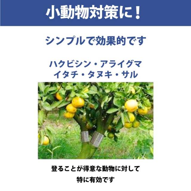 有刺鉄板10枚入り　ステンレス製