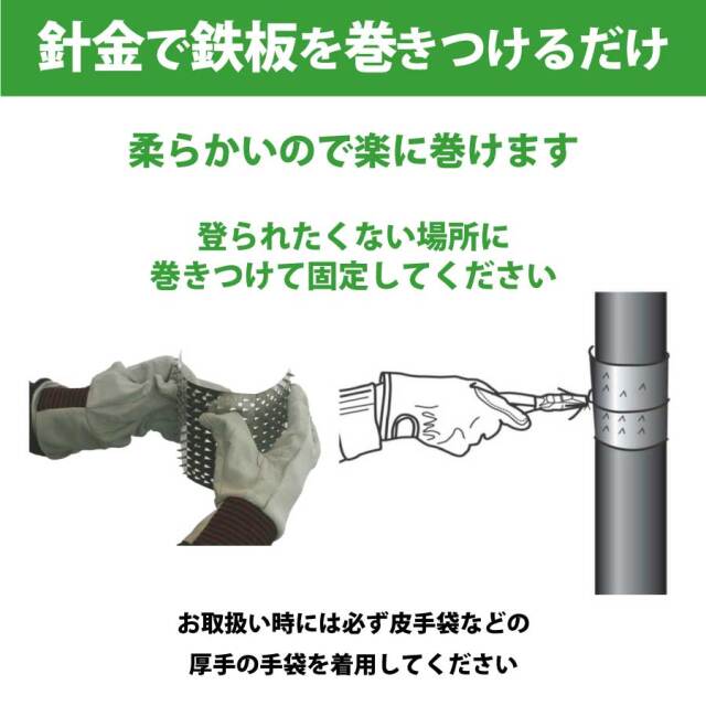 侵入禁刺（しんにゅうきんし）