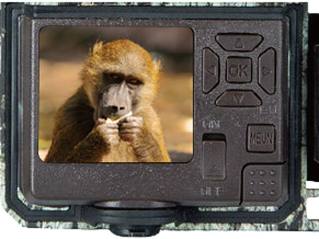 Bushnell社】 トロフィーカムXLT 32MP ノーグロウDC4K