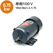 防爆単相モーターYBSC96L1-4-1-75メイン