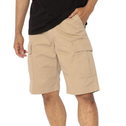 AVIREXカーゴショーツ