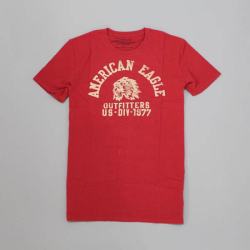 アメリカンイーグル新作メンズTシャツ