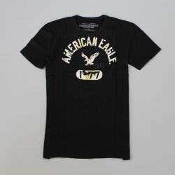 アメリカンイーグル新作メンズTシャツ