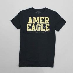 アメリカンイーグル新作メンズTシャツ