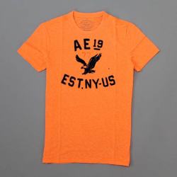アメリカンイーグル新作Tシャツ