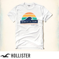 ホリスター Hollister Tシャツ：Printed Logo Graphic Tee - White