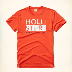 ホリスター Tシャツ