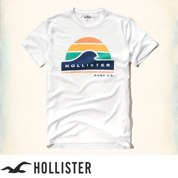 ホリスター Hollister Tシャツ：Printed Logo Graphic Tee - White