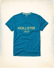 ホリスター Tシャツ