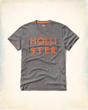 ホリスター Tシャツ
