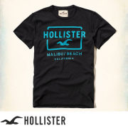 ホリスター Tシャツ