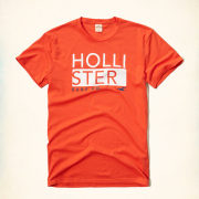 ホリスター Tシャツ