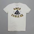 アメリカンイーグル新作メンズTシャツ