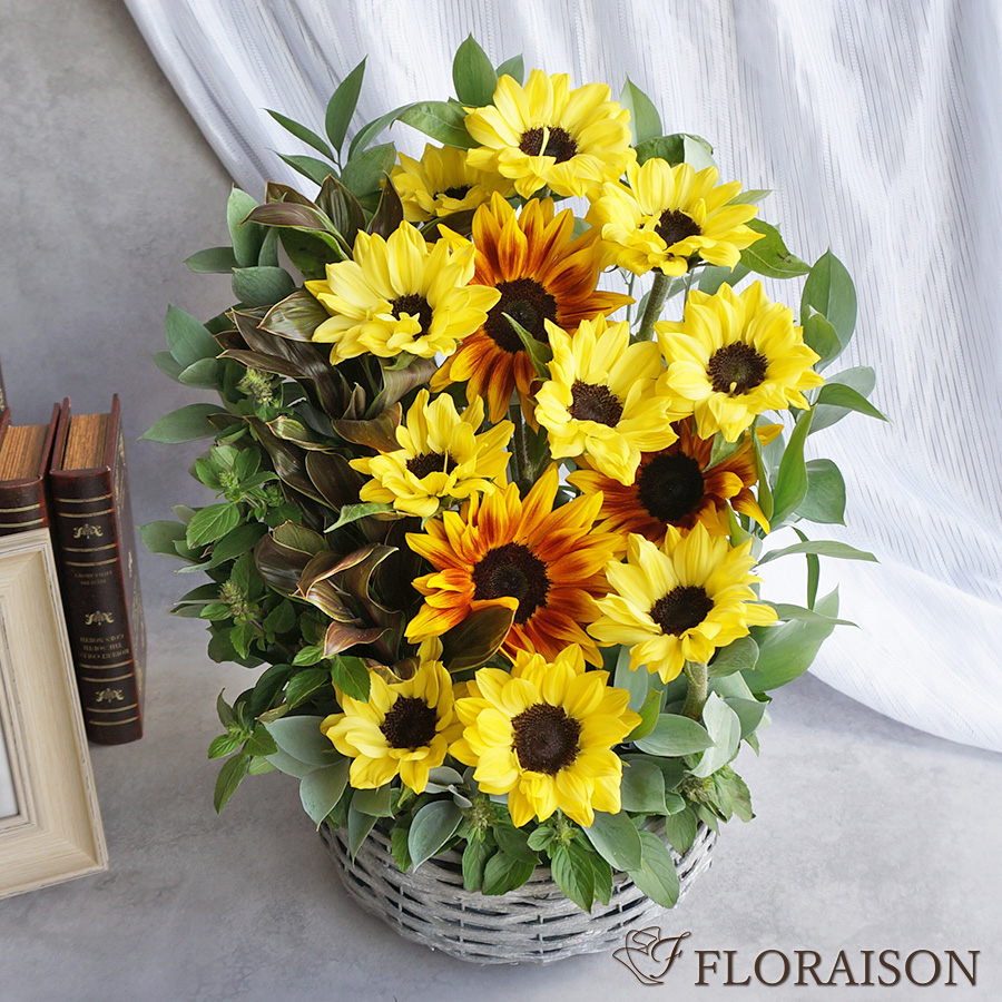 冷蔵便【送料無料】【夏限定】 ひまわりのモダンアレジメント