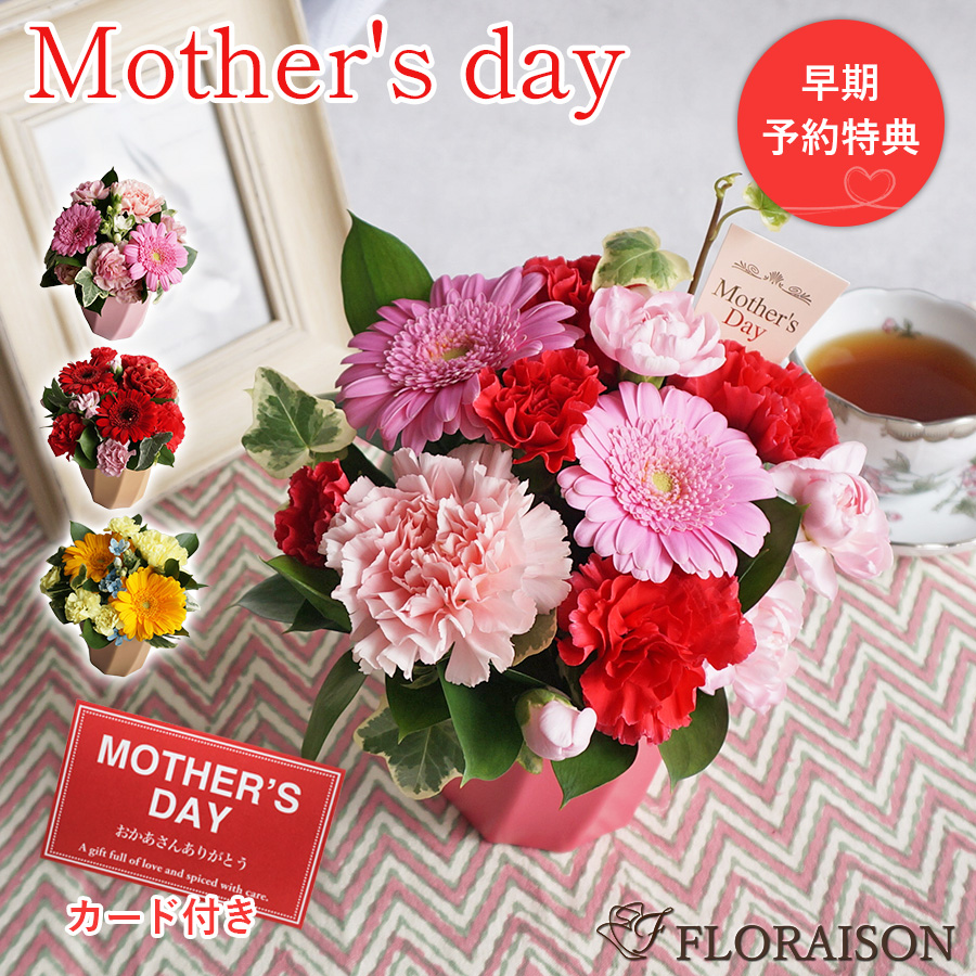 【送料無料・即日発送】【母の日】ミニアレンジメント シュクル 選べるカラー