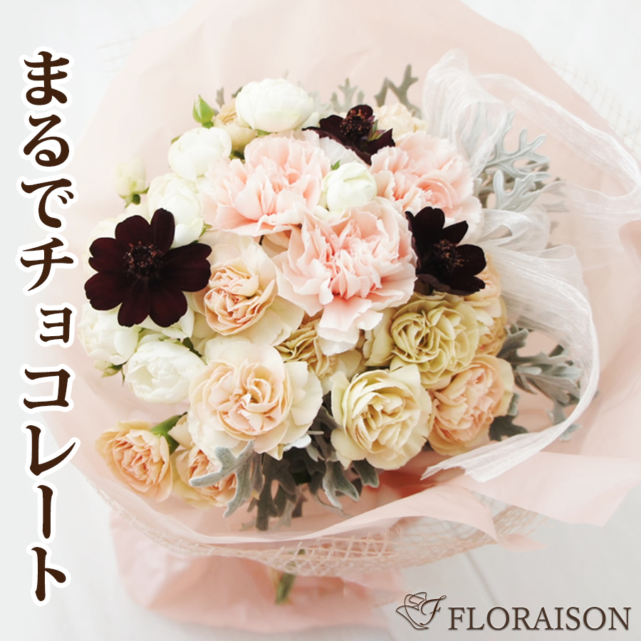 チョコレートコスモス