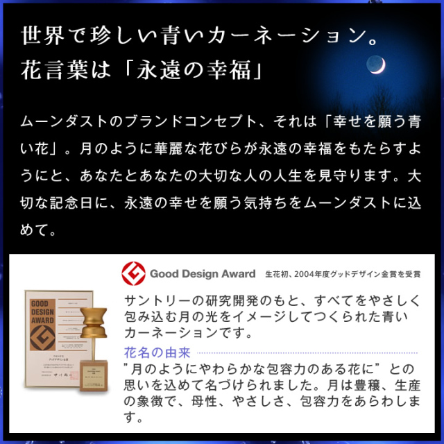 ムーンダストカーネーションロング３