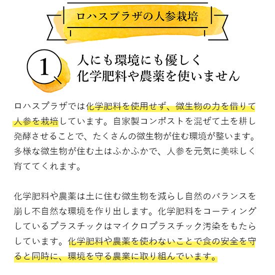 母の日人参ジュース