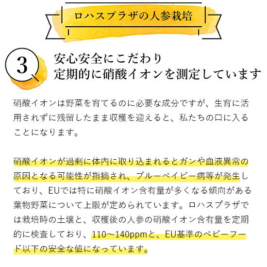 母の日人参ジュース
