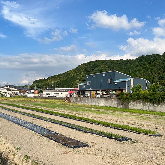 母の日人参ジュース