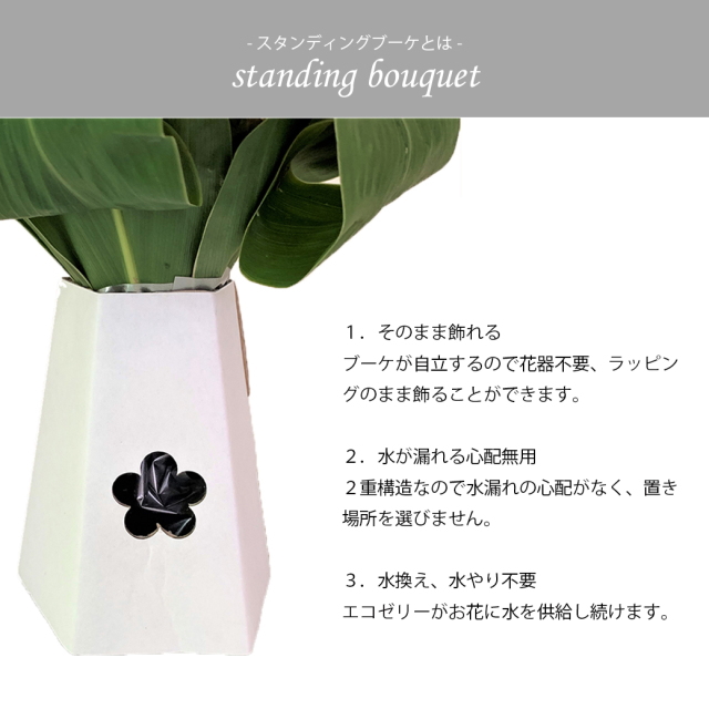 SBグランデ　画像10