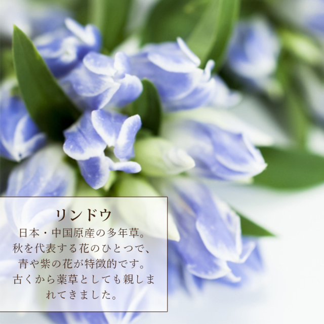 敬老の日